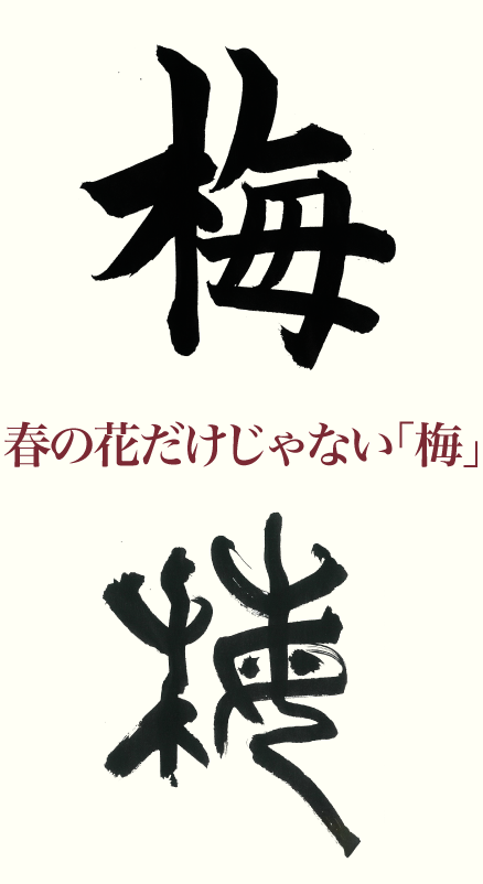 春の花だけじゃない 梅 産経国際書会