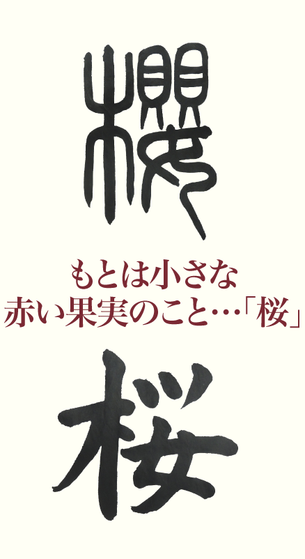 もとは小さな赤い果実のこと 桜 産経国際書会