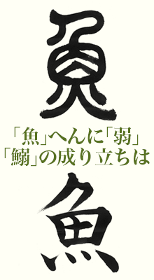 魚 へんに 弱 鰯 の成り立ちは 産経国際書会