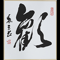 望月 暁云