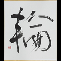 木住野 栄