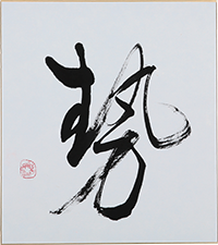 白崎 菖汀