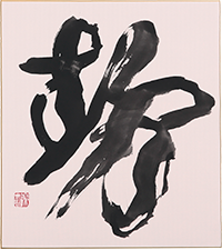 佐藤 深雲