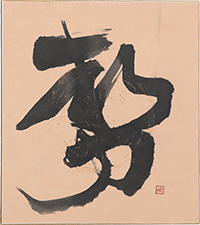 玉木 紅雨