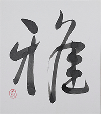 山本 之夜