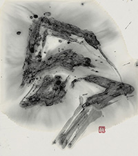 奥村 桃曄