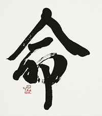 望月 暁云