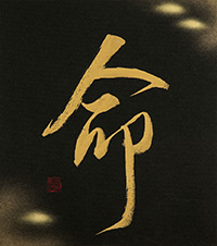 白崎 菖汀