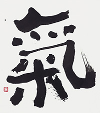 木住野 栄