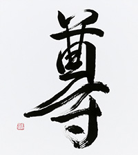 柳沢 緑風