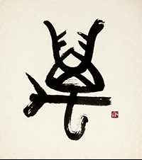 石井 政子
