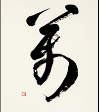 柚木 笙遥